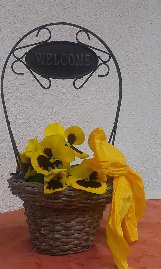 Ferienwohnung Ofer Thomas&Michaela Neustift im Stubaital Exterior foto